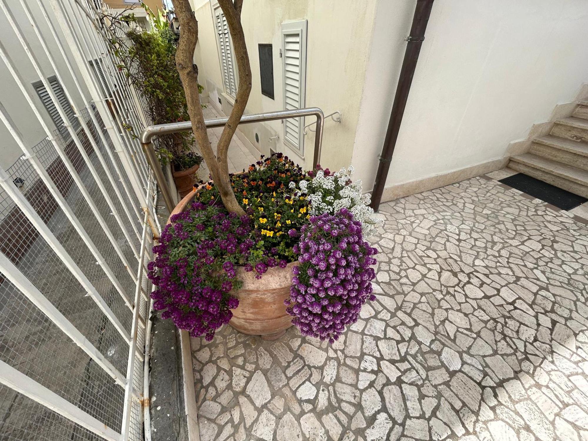 La Casa Di Rosi Al Mare Apartment Vada Bagian luar foto